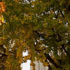 20221108_FallStockRSB_022-High%20Res%20JPEG%20300%20DPI.jpg