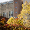 20221108_FallStockRSB_029-High%20Res%20JPEG%20300%20DPI.jpg