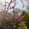 20230421_SpringStockRSB_032-High%20Res%20JPEG%20300%20DPI.jpg